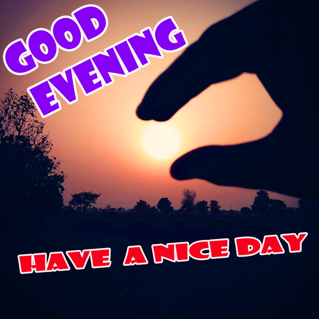 Good Evening Whatsapp Hd Photo Free Download for Friends - Good Morning