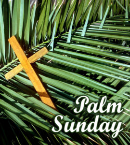 Palm Sunday Best Images
