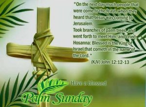 Palm Sunday Images 10