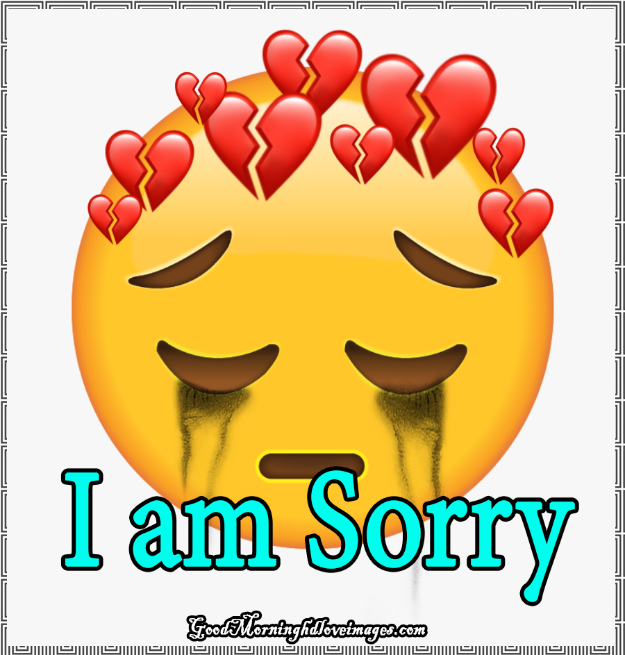 398 Latest Sorry Images Free Download For Whatsapp Good Morning
