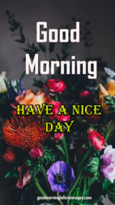 Dazzling good morning flower images free download 2022 for whatsapp