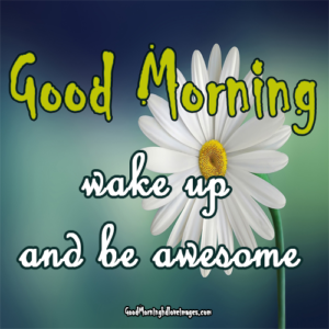 Fresh Inspirational Good Morning Image with Wake up and be awesome Quote