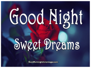 Prepossessing Good Night Sweet Drems Photo Image Picture Wallpaper Free Download