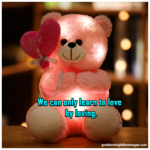 Download the perfect teddy bear whatsapp dp with quotes