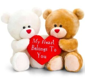 Teddy Bear Cute Couple Dp For Whatsapp