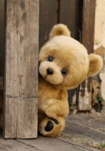 Teddy Bear Dp