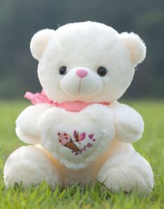 Teddy Bear Dp 4