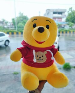 Teddy Bear For Whatsapp Dp