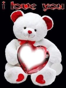 Teddy Bear Pic Dp Free Download