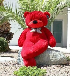 Teddy Bear Whatsapp Dp